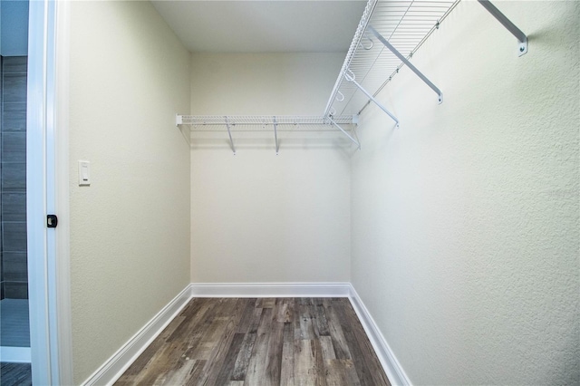 walk in closet with dark wood-style floors