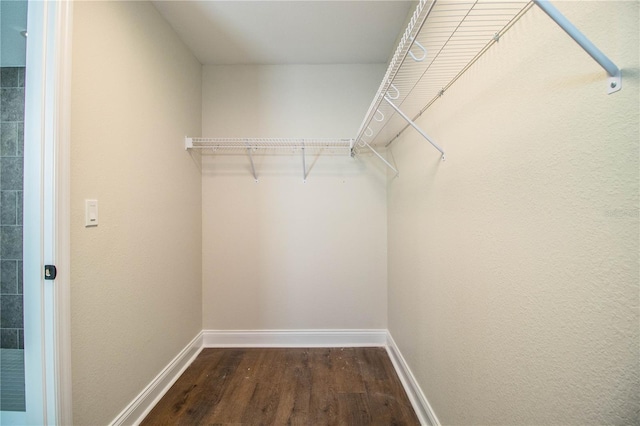 spacious closet featuring dark wood-type flooring