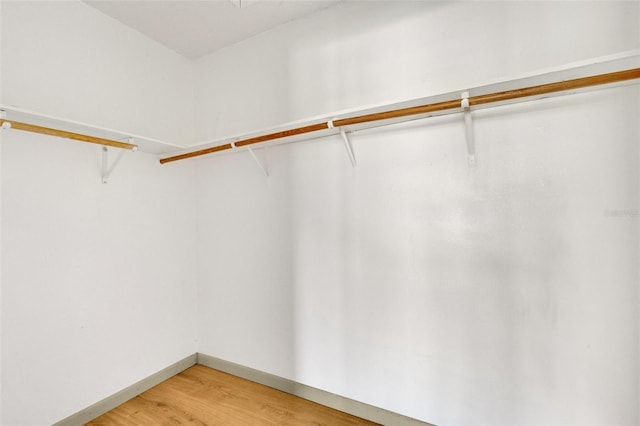 spacious closet featuring hardwood / wood-style flooring