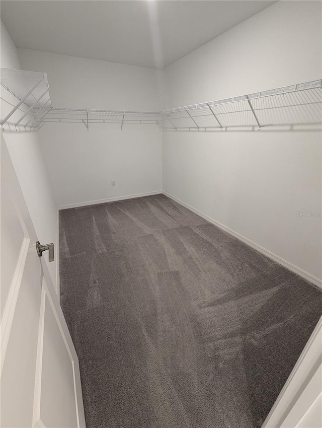 walk in closet with dark colored carpet