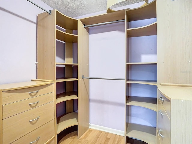 spacious closet with light hardwood / wood-style flooring