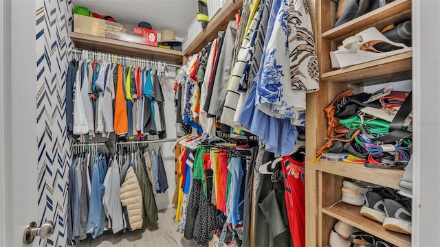 view of spacious closet