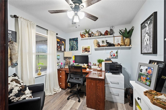 home office featuring ceiling fan, a textured ceiling, and light hardwood / wood-style floors