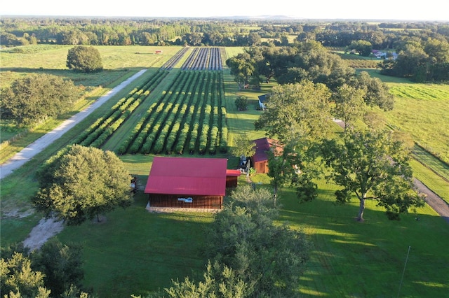 bird's eye view with a rural view