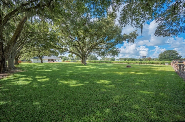 6155 Bethlehem Rd, Mulberry, FL 33860 - photo 60