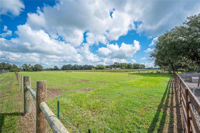 view of yard featuring a rural view