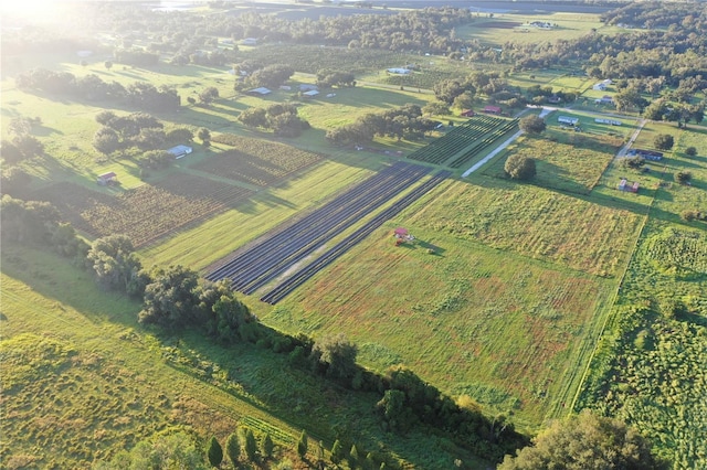 birds eye view of property featuring a rural view