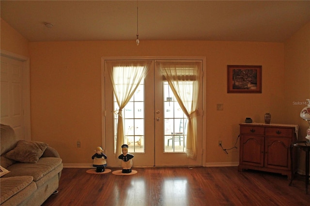 doorway to outside featuring french doors and hardwood / wood-style floors