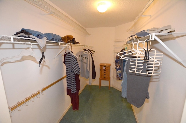 walk in closet featuring carpet floors