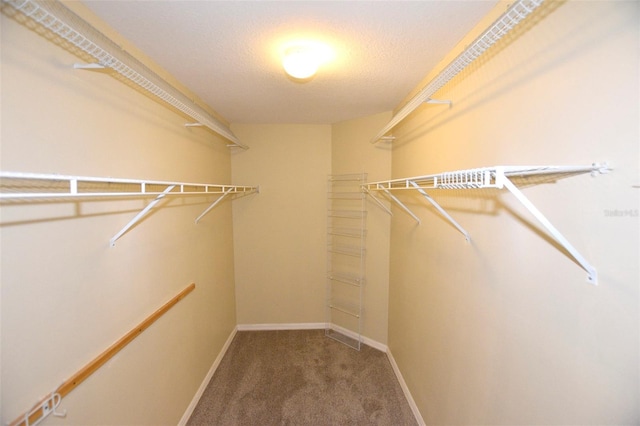 2556 Roslyn Ln, Lakeland, FL 33812 - walk in closet featuring carpet