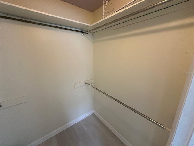 walk in closet with hardwood / wood-style floors