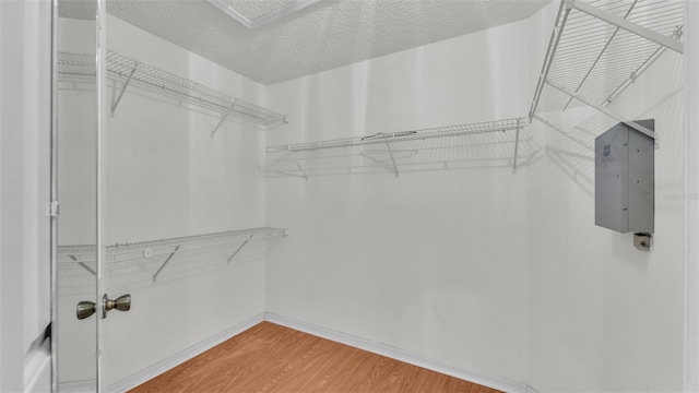 walk in closet with wood-type flooring