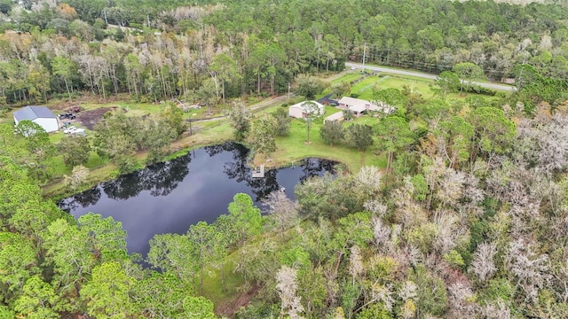 9240 Moore Rd, Lakeland, FL 33809 - bird's eye view of a nearby body of water and a forest