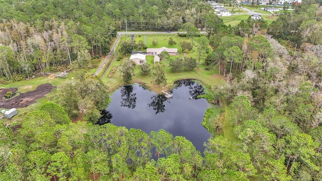 9240 Moore Rd, Lakeland, FL 33809 - bird's eye view of a nearby body of water and a forest
