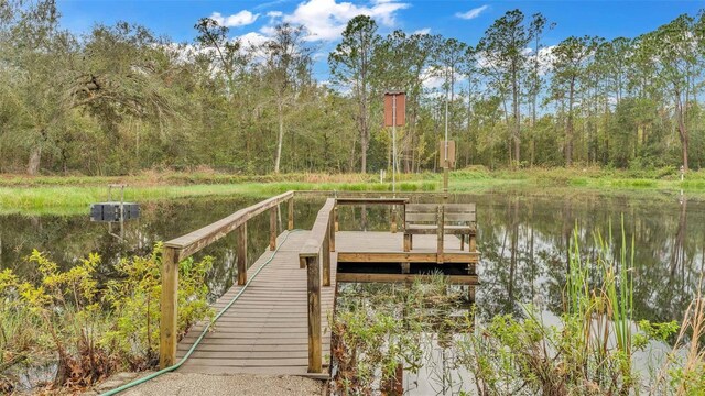 9240 Moore Rd, Lakeland, FL 33809 - dock featuring a water view and a wooded view