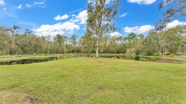 9240 Moore Rd, Lakeland, FL 33809 - view of grassy yard with a water view and a forest view