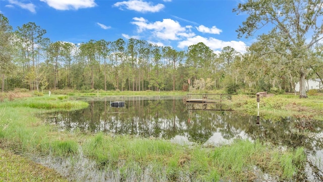 property view of water