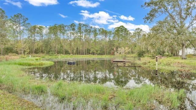 9240 Moore Rd, Lakeland, FL 33809 - water view featuring a forest