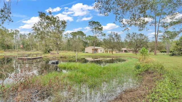 9240 Moore Rd, Lakeland, FL 33809 - view of yard