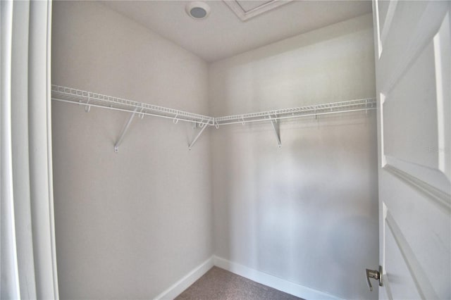 spacious closet with carpet floors