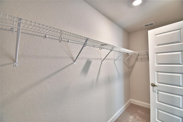 spacious closet featuring carpet flooring