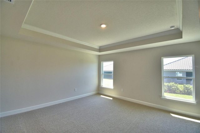 spare room featuring baseboards, carpet floors, ornamental molding, and a raised ceiling