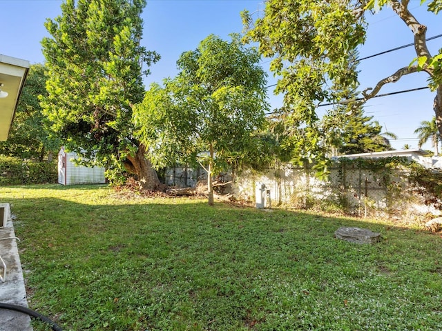 view of yard with a shed