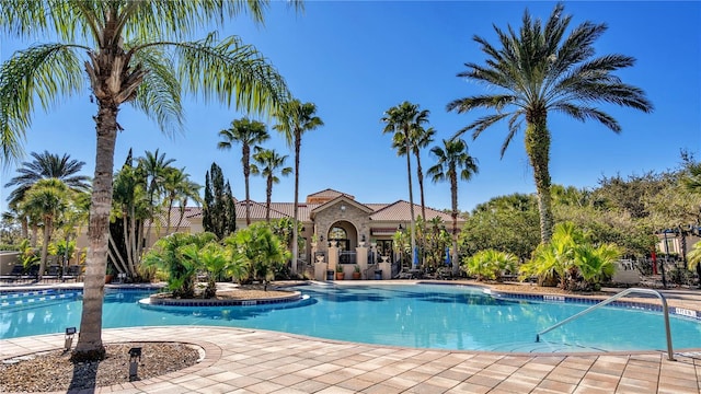 view of pool featuring a patio