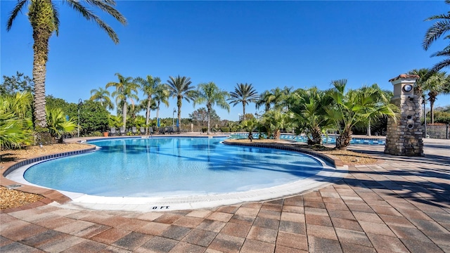 view of pool featuring a patio