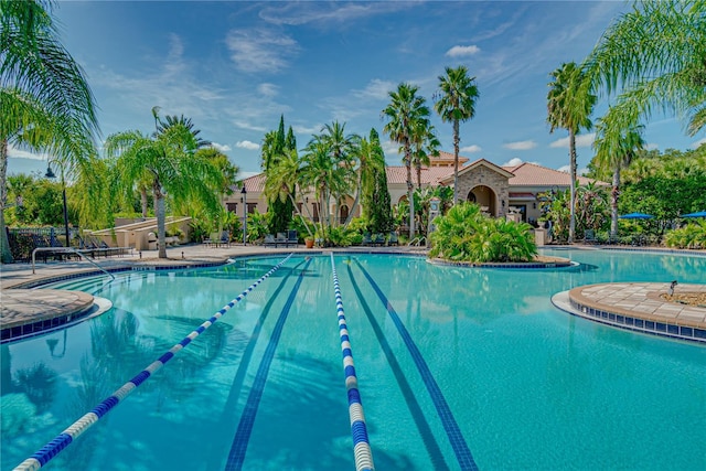 view of swimming pool