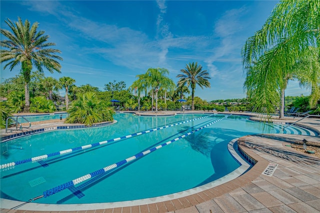 view of swimming pool