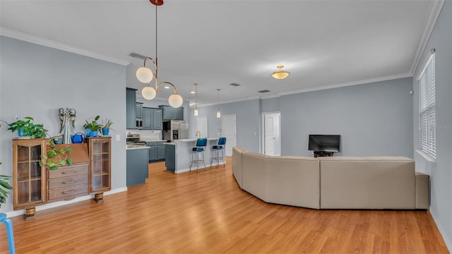 living room with sink, crown molding, and light hardwood / wood-style floors