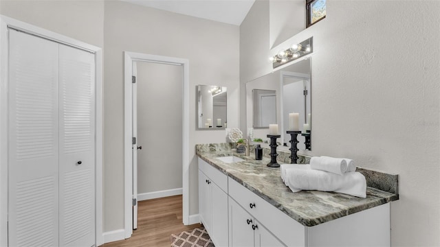 bathroom with vanity and wood-type flooring