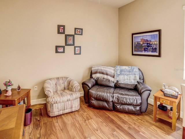 sitting room featuring wood-type flooring