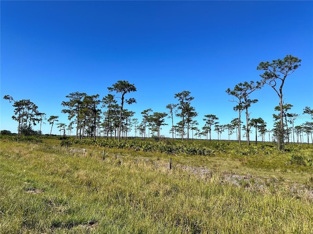 E County Line Rd, Fort Meade FL, 33841 land for sale