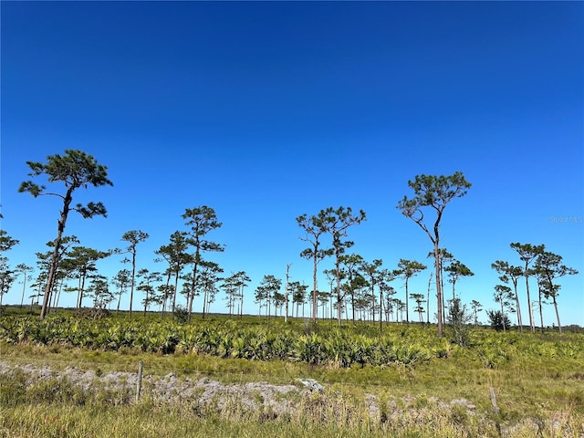 Listing photo 2 for E County Line Rd, Fort Meade FL 33841