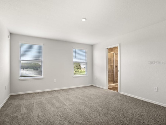 spare room with carpet floors