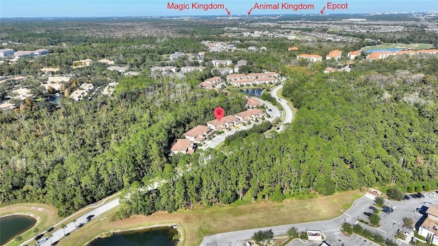 8205 Roseville, Davenport, FL 33896 - aerial view of property's location with a forest and a nearby body of water