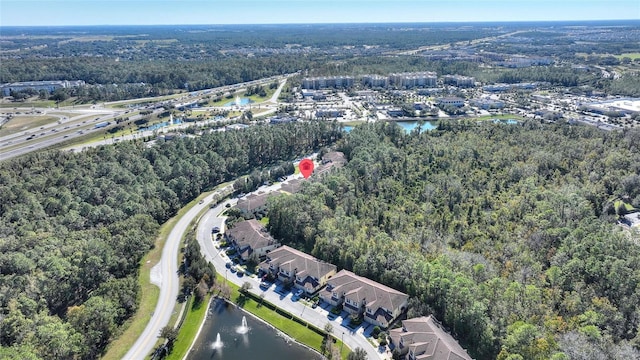8205 Roseville, Davenport, FL 33896 - aerial view of property's location with a forest and a nearby body of water