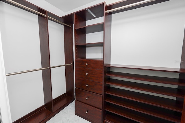 405 Central Ave Unit 210, Saint Petersburg, FL 33701 - view of walk in closet