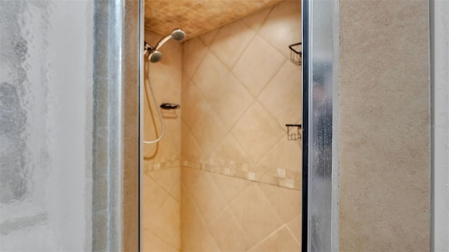 bathroom featuring a shower stall