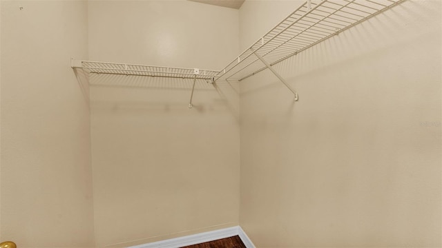 walk in closet featuring wood finished floors