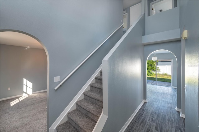 stairs featuring carpet floors