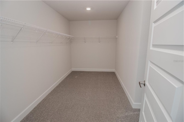 spacious closet with carpet floors