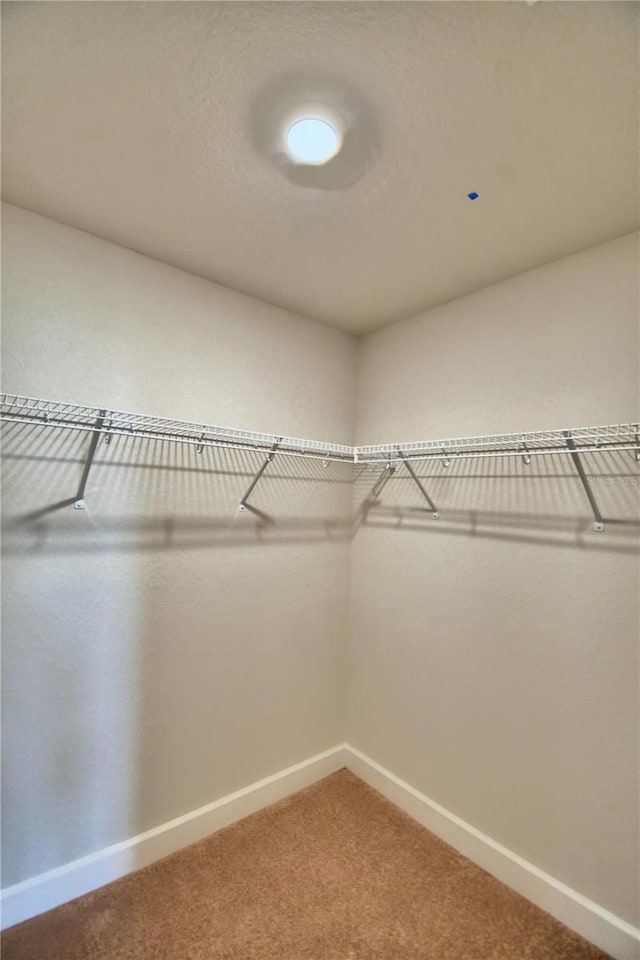 walk in closet with carpet