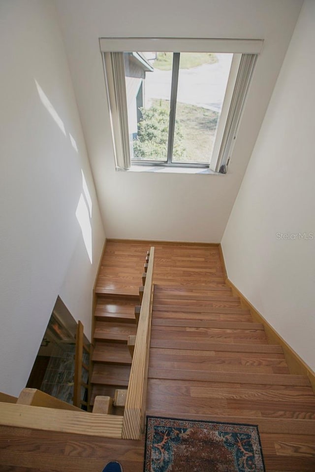 staircase with wood finished floors