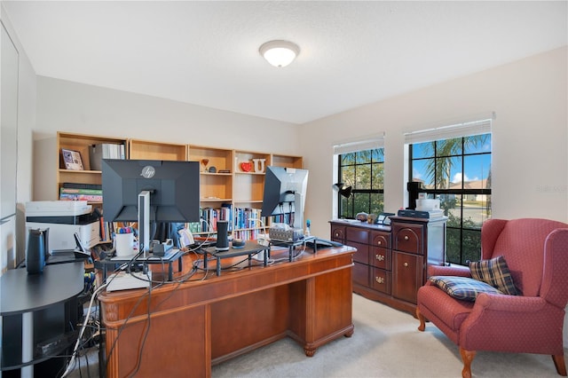 view of carpeted home office