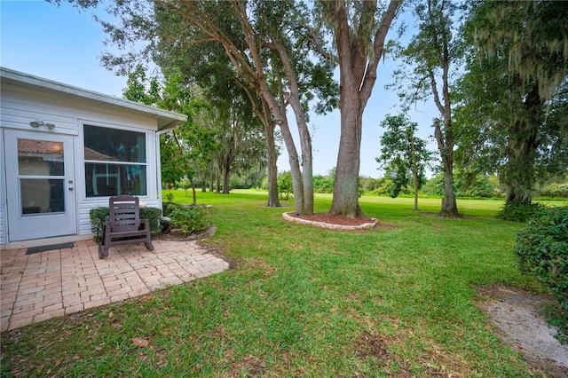 view of yard with a patio area