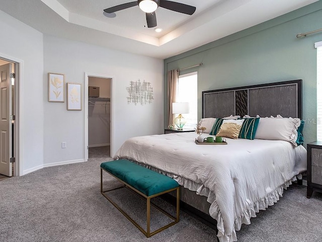 bedroom with a raised ceiling, carpet flooring, ceiling fan, a spacious closet, and a closet