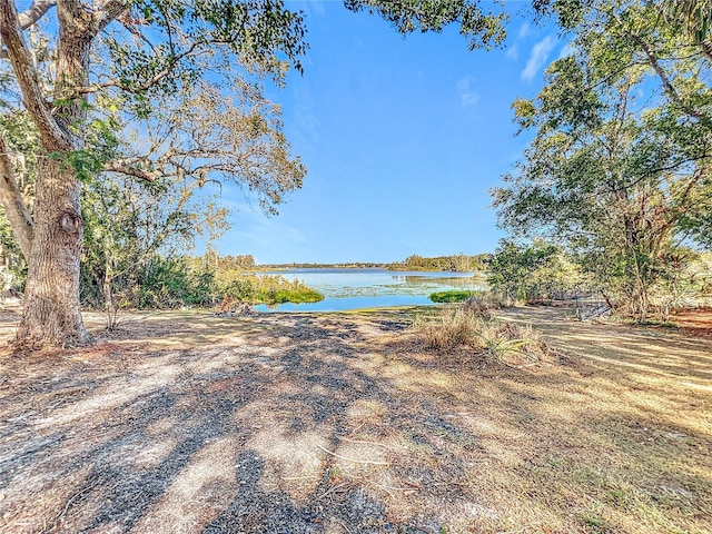 view of yard featuring a water view